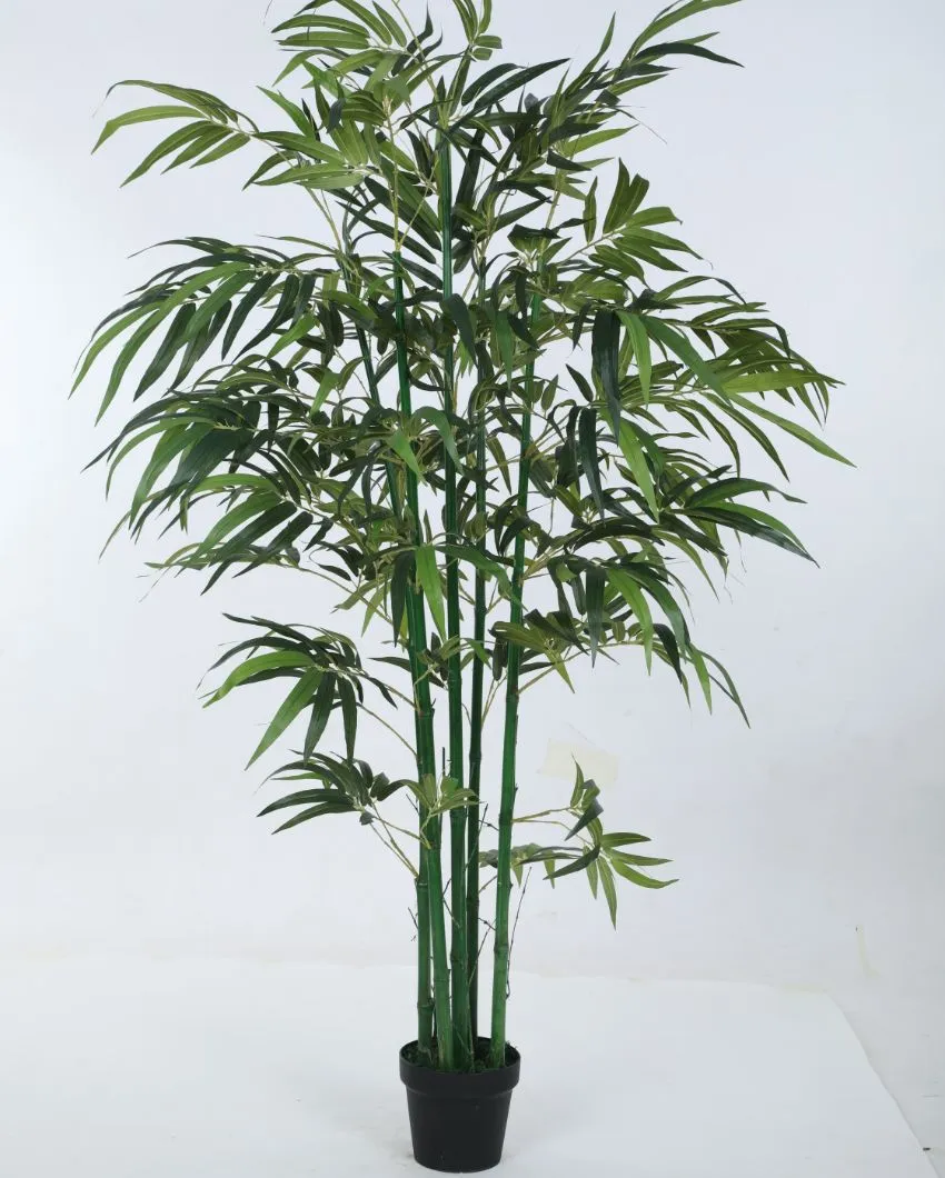 Artificial Green Bamboo Plant With Black Pot | 6 feet