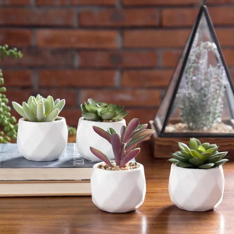 Mini Artificial Succulent Plants in Geometric Plant Pots