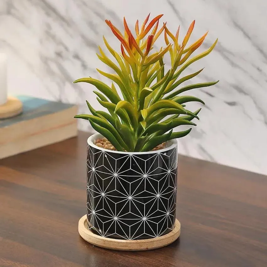 Nautical Succulents Artificial Plant with Ceramic Pot & Wooden Coaster | 7 inches