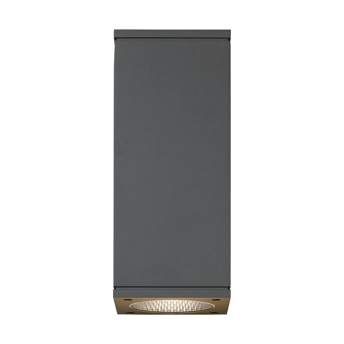 Tegel 12" Outdoor Wall Sconce