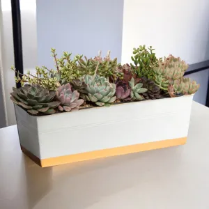Zutoia Black Planter - Grey